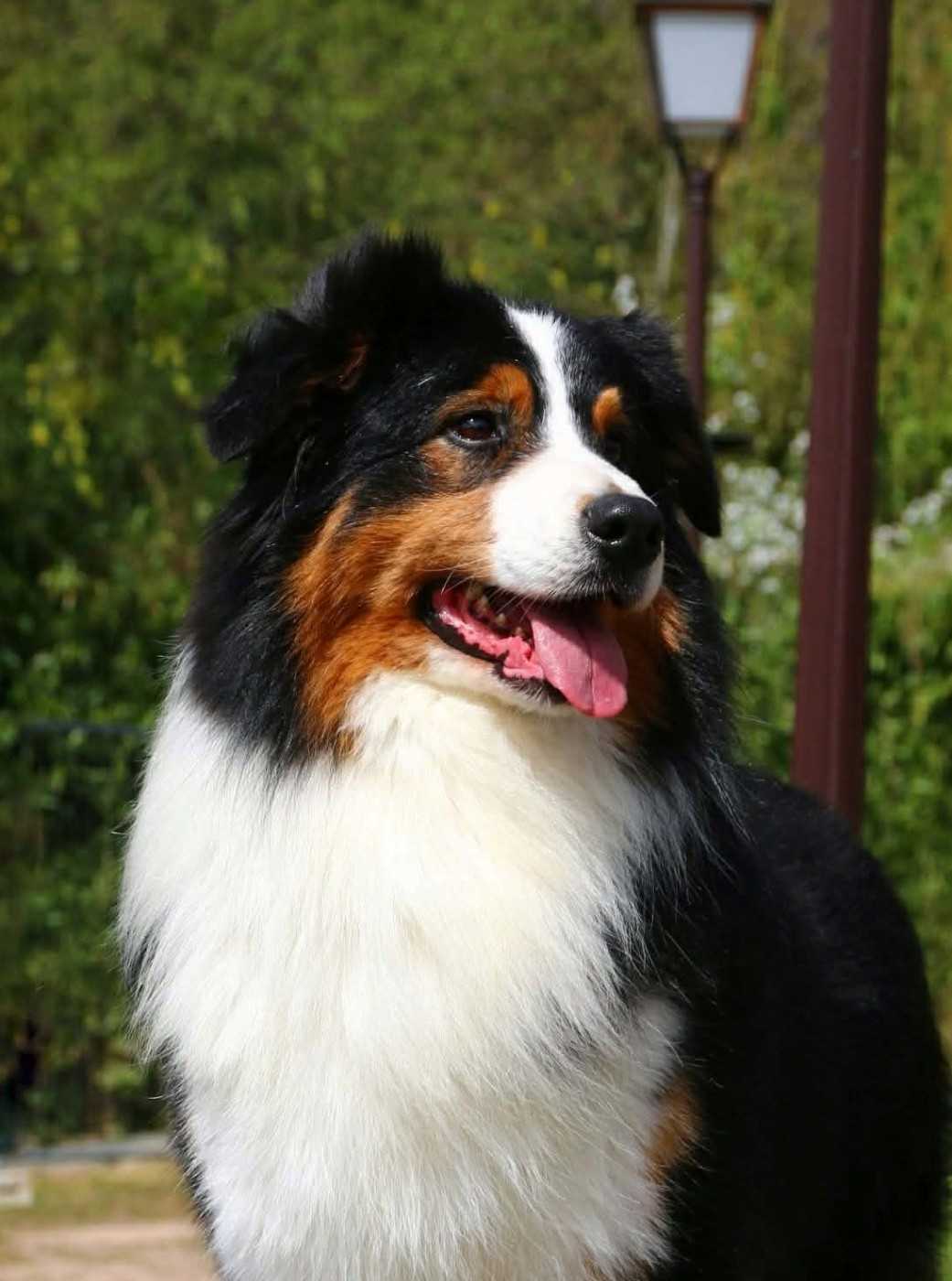 CH. seventy seven Eastern delight