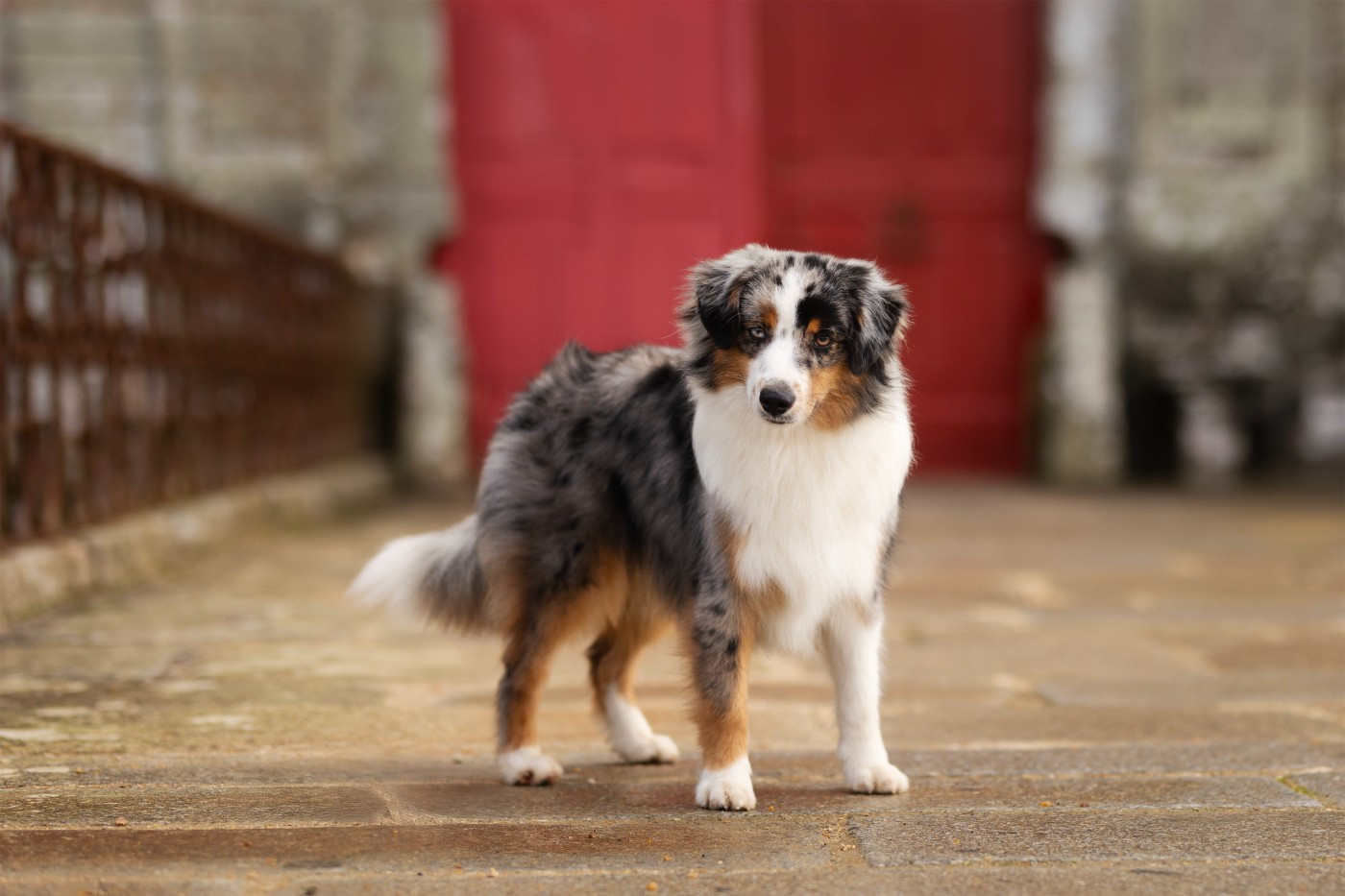 CH. Am-ju-ma be my destination