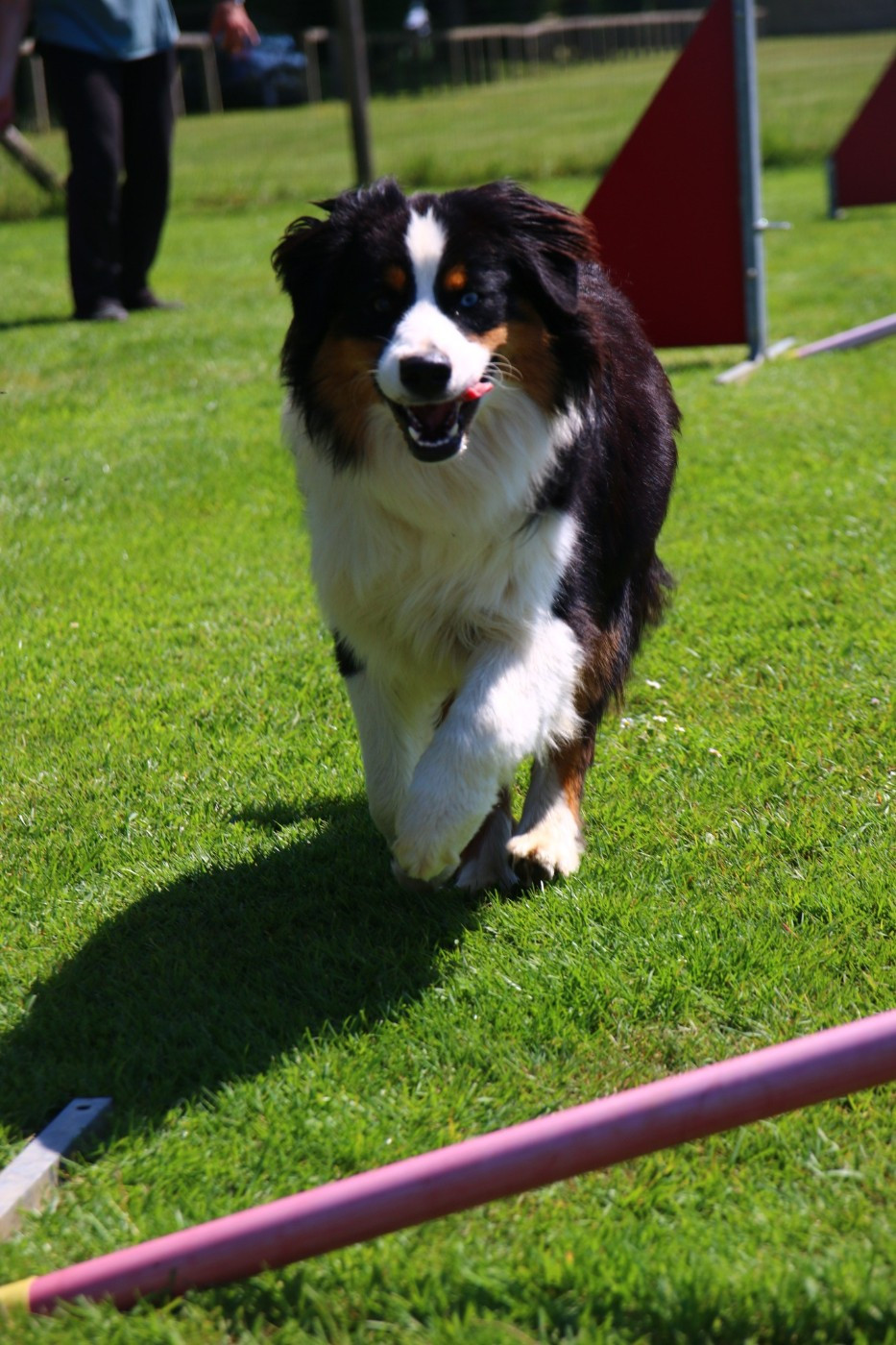 agility