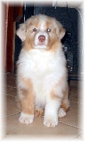 Grany